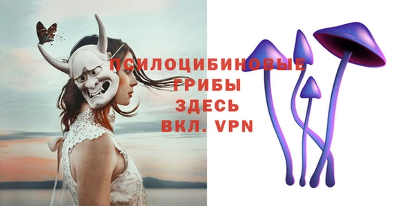 мяу мяу мука Арсеньев