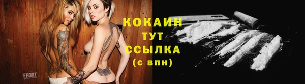 мяу мяу мука Арсеньев