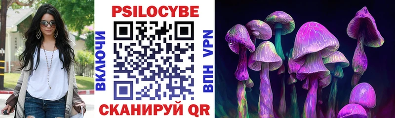 Купить  Таруса  Галлюциногенные грибы прущие грибы 